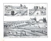 William Bowen, John Mear, Levi L. Mercer, Bureau County 1875